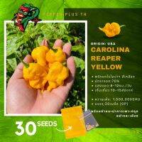 เมล็ดพันธุ์พริก แคโรไลนา รีพเปอร์ สีเหลือง (Carolina Reaper Yellow) 30 Seeds