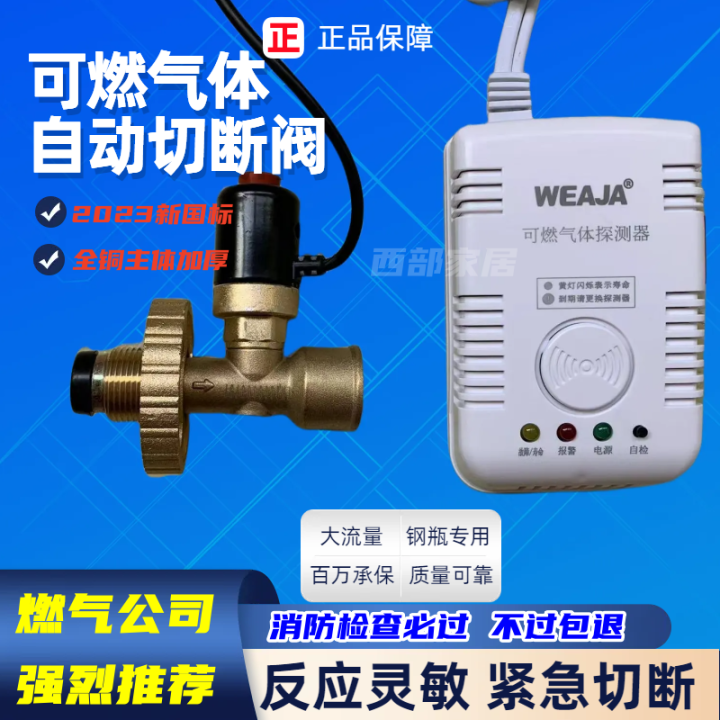 Household Gas Cylinder Automatic Break Valve Commercial Liquefied Gas