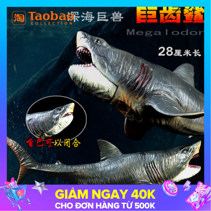 Mô hình cá mập trắng mini  Công ty TNHH TM Trường Thịnh Sài Gòn