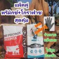 #รีโพรมิกซ์ พรีมิกซ์ + #โกรวฟาซ (จัดเซ็ท พรีมิกซ์1ถุง=5kg+ โกรวฟาซ1ถุง=2kg.) #แร่ธาตุเสริมเลี้ยงวัว #อาหารวัวกระบือ