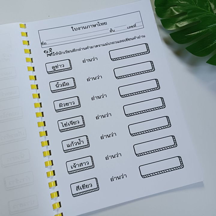 แบบฝึกหัดทำมือ-แบบฝึกเขียนคำอ่าน9มาตรา-แบบฝึกหัด-แบบฝึกทักษะ-แบบฝึกเสริม-แบบฝึกหัดภาษาไทย-ใบงาน-ใบความรู้-แบบฝึกหัดอนุบาล-แบบฝึกหัดป-1