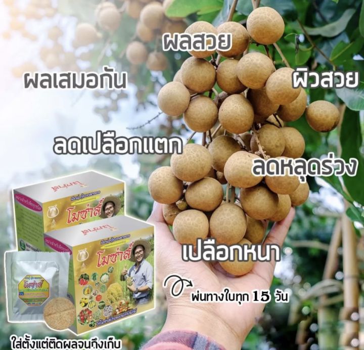 โมซ่าเม็ดฟู่-1กล่อง-โมซ่าของแท้-100