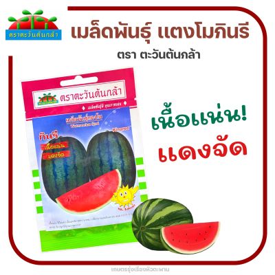 เมล็ดพันธุ์แตงโมกินรี ตราตะวันต้นกล้า เนื้อเเน่น เเดงจัด