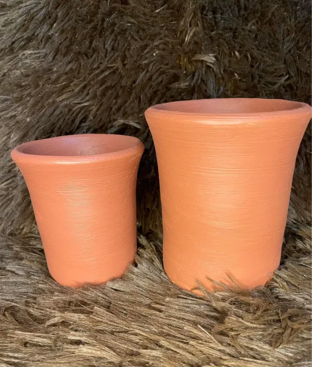 Pots for Gymnos small Lazada PH