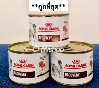 Recovery 195g (แพ็ค1-12กระป๋อง) Exp.01/2025 Royal Canin อาหารพักฟื้น สัตว์ป่วย