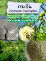 ใบกระถินป่น (Leucaena leaf meal) บรรจุ 1 กิโลกรัม