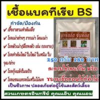 บีเอส 250กรัม , บาซิลลัส ซับทีลิส , BS ป้องกันกำจัดเชื้อรา โรครากเน่าโคนเน่า ใบไหม้ แคงเกอร์  แอนแทรคโนส ยางไหล กุ้งแห้ง