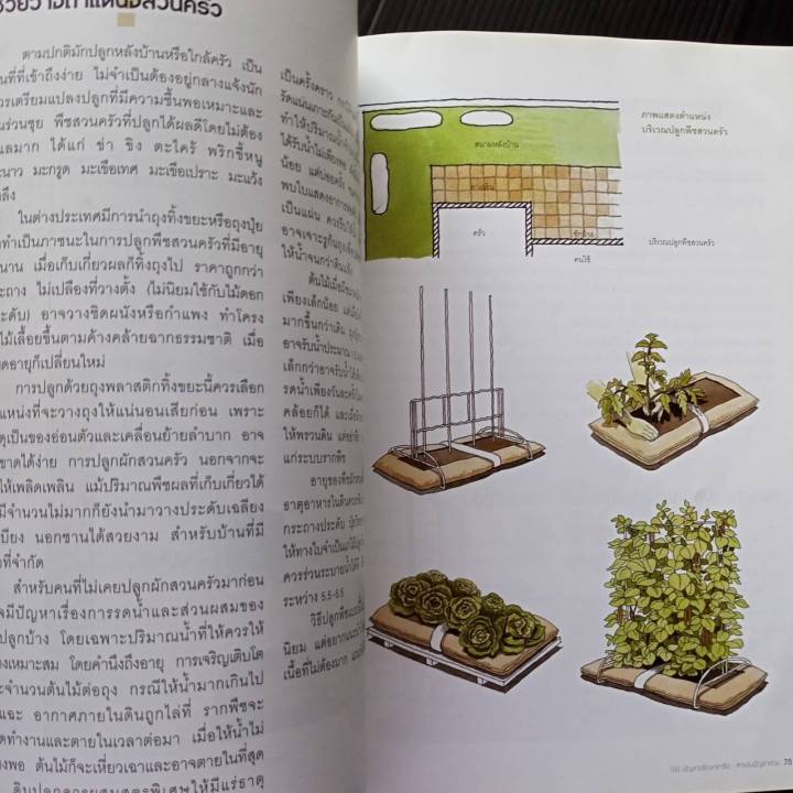 หนังสือ-100-ปัญหาปรึกษาหารือ-สารพันปัญหาสวน-จากนิตยสารบ้านและสวน