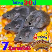 ไม่มีหนู 30 ปี ยาเบื่อหนู1500g ยาเบื่อหมา7 วันตายทั้งรัง แลนเนทเบื่อหมา ยากำจัดหนู ยาเบื่อ หนูแห้ง ยาฆ่าหนู กำจัดหนู ใน บ้าน กำจัดหนู ไล่หนูบนเพดาน เหยื่อกำจัดหนู กำจัดหนูยกรัง ยาไล่หนู ไล่หนู rat ยาฆ่าสัตว์ กาวดักแมลงและกับดัก poison for rat ยาฆ่าจิ้กจก