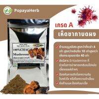 ผงเห็ดชากา (100% CHAGA Mushroom)100g.