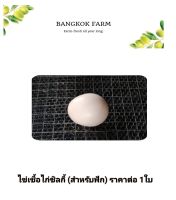 ไข่เชื้อไก่ซิลกี้ (สำหรับฟัก) ราคาต่อ 1ใบ