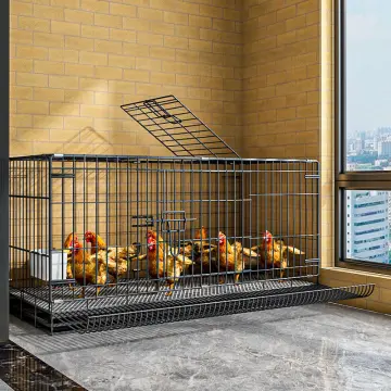 Chicken Cage - Best Price In Singapore - Aug 2023 | Lazada.Sg