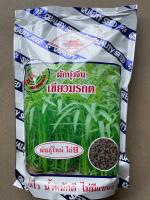 ผักบุ้งจีน เขียวมรกต พันธ์ุใหม่ ไผ่ 9 ตรารถถัง 1 KG