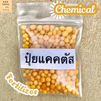 [ปุ๋ยแคคตัส 10 ML 2 ซอง] Chemical Fertilizer for Cactus and Succulent ปุ๋ยบำรุงแคคตัส บำรุงต้น ปุ๋ยละลายช้า ออสโมโค้ท ปุ๋ยสูตรเสมอ เร่งดอก เร่งโต Osmocote แคคตัสโตไว