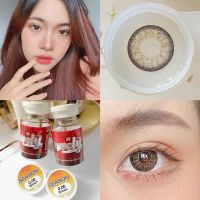 Season browb by loveรุ่นเลนส์สีน้ำตาลโตกว่าตา