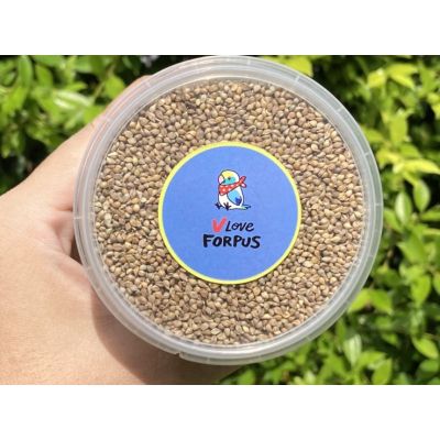มิลเล็ตญี่ปุ่น (Japanese Millet Seed) แบ่งบรรจุ 100 กรัม