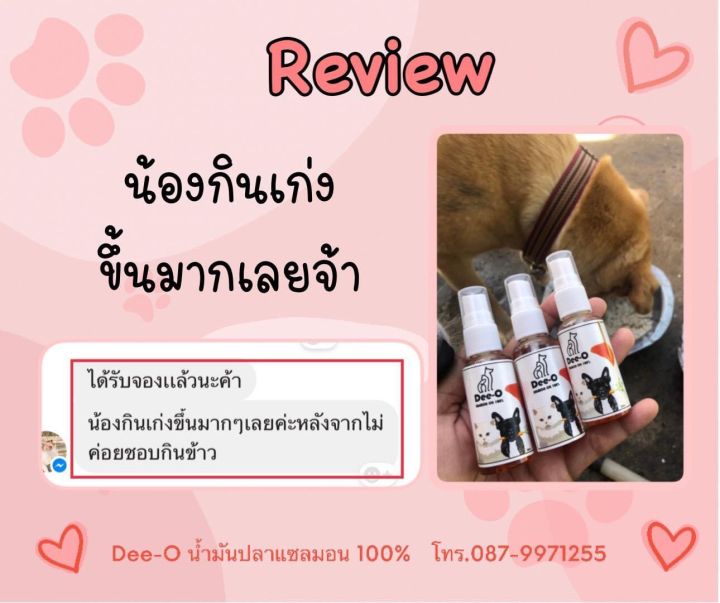 น้ำมันปลาเชลม่อน-สัตว์เลี้ยงเบื่ออาหาร-บำรุงขนสวย-สิ้นค้าลงใหม่มีของพร้อมส่ง