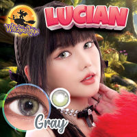 คอนแทคเลนส์ รุ่น Lucian สีเทา/ตาล Gray/Brown มีสายตาปกติ (0.00) เปลี่ยนแทนทุกเดือน