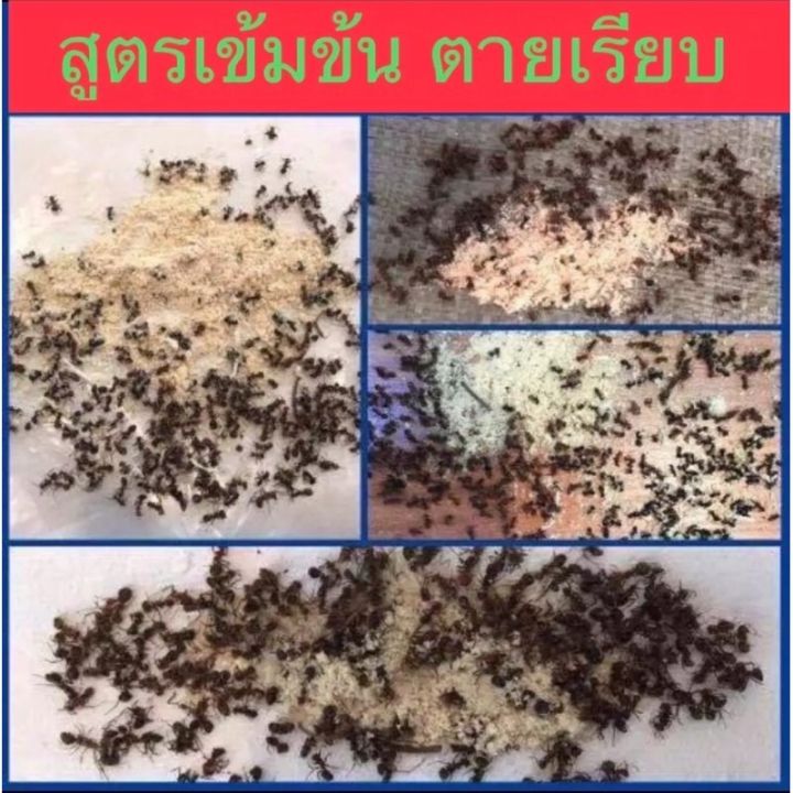 ฆ่ามด-ชนิดซอง20กรัม-จำนวน3ซองสุดคุ้ม-ใช่ง่ายแค่โรย-ออกฤทธิ์นานไม่มีกลิ่น-ส่งด่วนทุกวัน