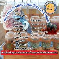 ปลากัดออนไลน์