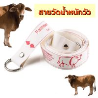ส่งด่วนจากไทย‼️ สายวัดน้ำหนัก วัวนม วัวเนื้อ สายวัดน้ำหนักสัตว์