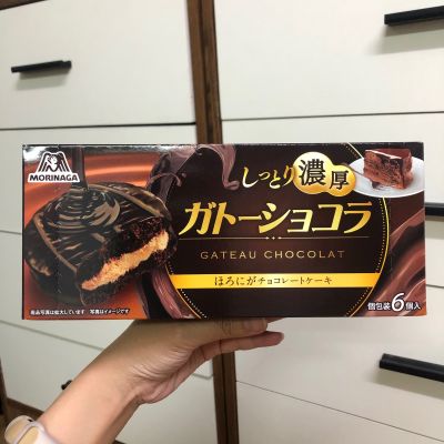 Morinaga Gateau Chocolate โมรินางะ กาโต้ช็อกโกแลต