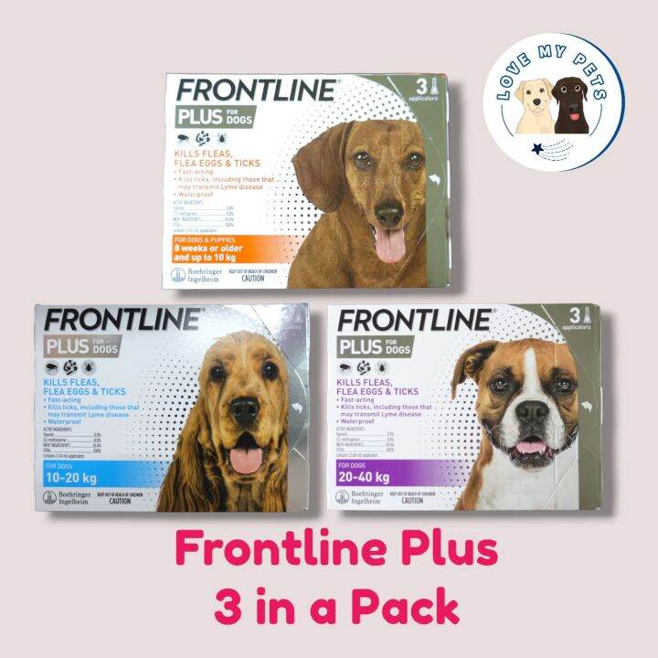 Frontline Plus (3 pipettes) for dogs | Lazada Singapore