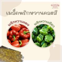 เมล็ดพริกหวานคละสี เมล็ดนำเข้าจากต่างประเทศ