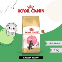 Royal Canin สูตร kitten maincoon แพ็คแบ่งขาย 1 กก.