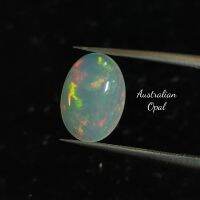 ? โอปอล ออสเตรเลีย หลากสี สีเหลือบสวยมาก ทรงหลังเบี้ย ? 1.88 กะรัต ?

( Austrian Opal )

? มีวิดิโอชิ้นนี้ ให้ชมครับ