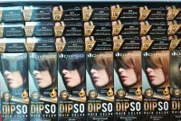 Dipso Hair Color ดิ๊พโซ่ แฮร์คัลเลอร์ สีย้อมผม S01 - SP28 ( 110 ml. )