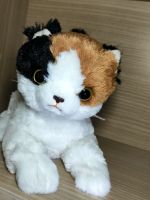 ตุ๊กตาแมว น่ารัก พูดได้ ขยับได้  Iwaya Family from today Nagomication Nyanko calico cat(cat)??