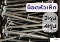 น็อตหัวเสา หัวเห็ด 3หุน(3/8”) 4หุน(1/2") น็อตหัวกลม น็อตขันไม้ เกลียวหุน (พร้อมหัวน็อตตัวเมียและแหวน) น๊อตหัวเสา น๊อตเสา น๊อต น๊อตไม้ น๊อตใส่