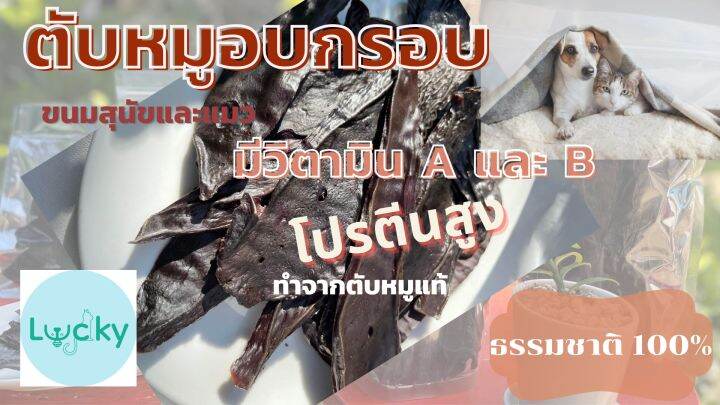 40กรัม-ตับหมูอบแห้ง-ขนมสุนัข-ขนมแมว-อาหารหมา-อาหารแมว-40กรัม