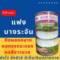 แฟง บางระจัน 100 กรัม