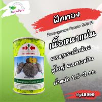 ฟักทองลูกผสม ข้าวตอก 573 F1 ขนาด 100 กรัม