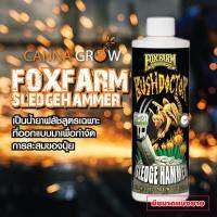 Fox farm Sledgehammer น้ำยาฟรัชปุ๋ย ล้างสิ่งสกปรก ล้างสารตกค้างในพืช ค่าย ฟ็อกฟาร์ม ขนาดแบ่ง 50ml 100ml
