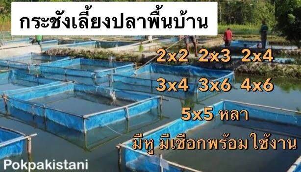 กระชังเลี้ยงปลา-กระชังมุ้งเขียว-เลี้ยงปลา-กบ-พร้อมใช้งาน