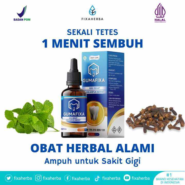 Obat Sakit Gigi Berlubang Dan Gusi Bengkak Paling Ampuh-100% Herbal ...