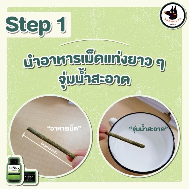 new-แรนดอล์ฟบันนี่เอนไซม์-randolph-bunny-enzyme-อาหารเสริมระบบทางเดินอาหาร