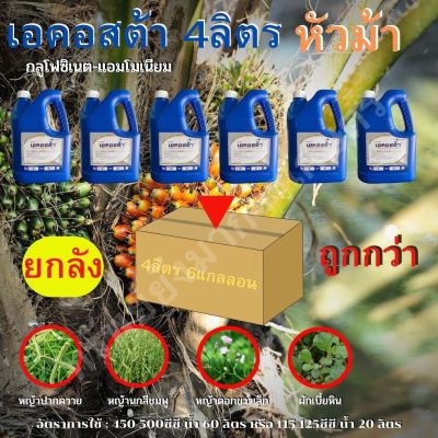 เอคอสต้า หัวม้า “ยกลัง 6แกลลอน” กลูโฟซิเนต-แอมโมเนียม15% W/V SL “ยกลัง 6แกลลอน” 4ลิตร/แกลลอน กำจัดวัชพืชใบแคบและใบกว้าง