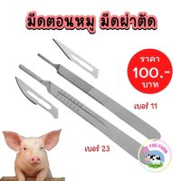 มีดตอนลูกหมู มีดผ่าตัด สแตนเลส มีดผ่าตัดพร้อมใบมีด 10ใบ