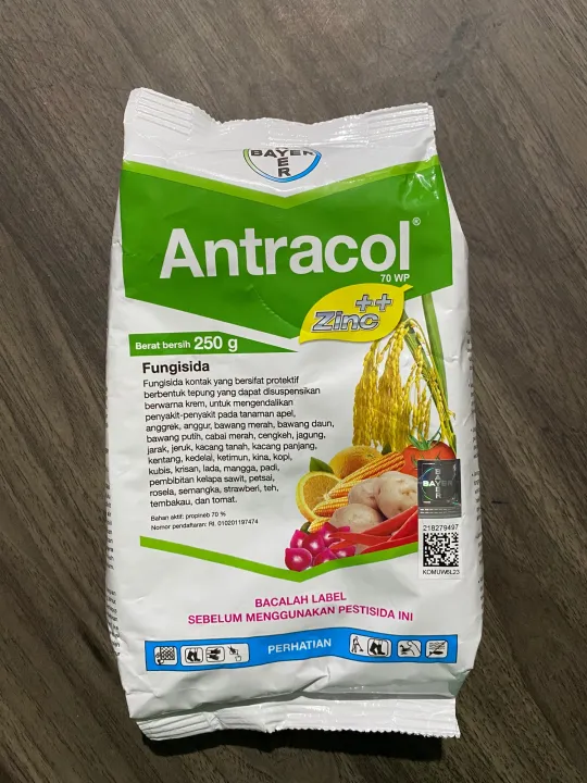 fungisida antracol 250gr | Lazada Indonesia