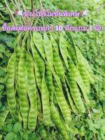 ??️พร้อม​ส่ง,สะตอ​ 2 แบบ,แบบฝักสวยๆ/แบบแกะเม็ด คัดอย่างดีทั้ง 2 แบบจร้า?