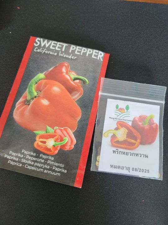 เมล็ดพันธุ์พริกหวานฮอลแลนด์-sweet-pepper-seeds-holland-20เมล็ด-ราคาถูกที่สุด-พริกหวาน