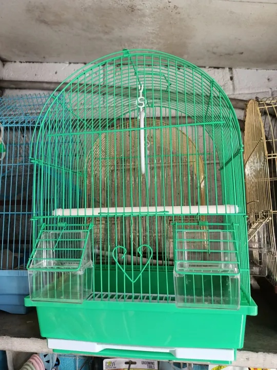 BIRD CAGE colored oval 1 pc | Lazada PH