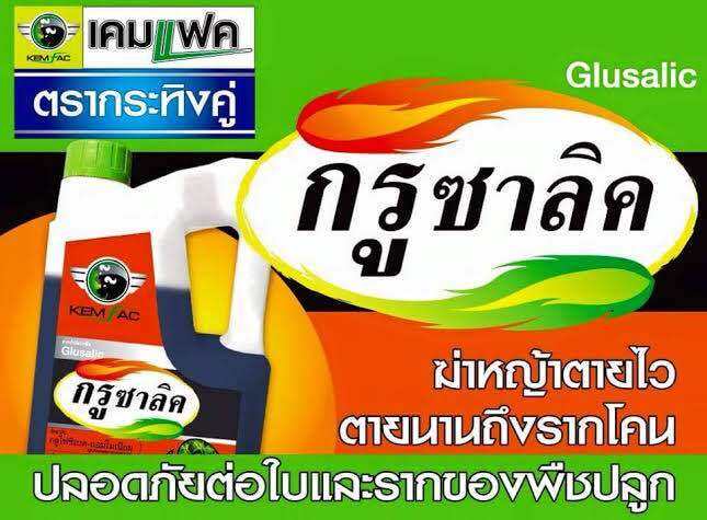 กรูซาลิค-4-ลิตร-กลูโฟซิเนต