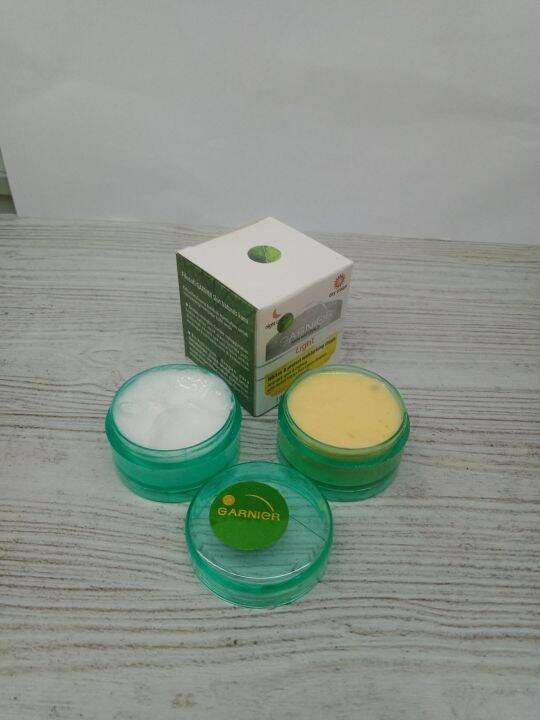 Cream Garnier Susun Siang Malam Garnier Susun Siang Dan Malam Original Lazada Indonesia