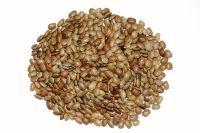 Asian Kulith,Horse Gram 500g.