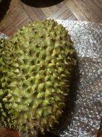 Durian ไม่เกินสัปดาห์ได้ทาน รอมีกลิ่น และเคาะแล้วมีเสียงกลวงๆ หมอนทอง 150บาทต่อกก ขั้นต่ำ 3กก